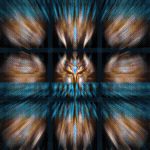 y3rWFqG.gif